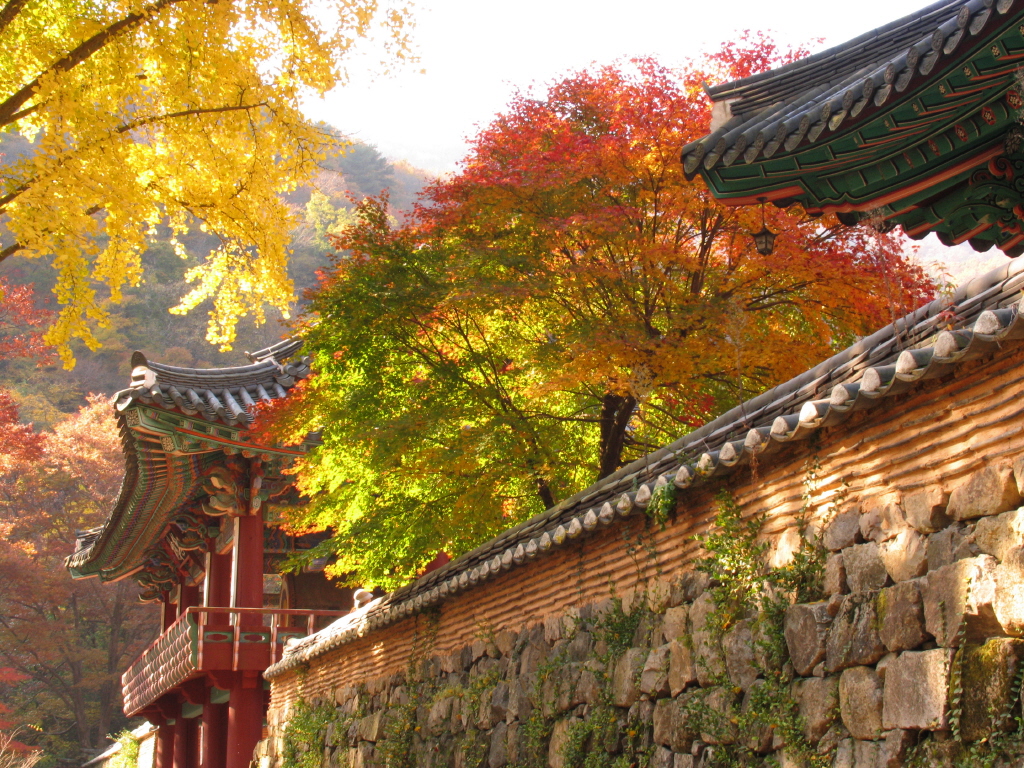 Những ngôi chùa tuyệt đẹp ở Hàn